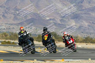 media/Jan-13-2024-SoCal Trackdays (Sat) [[9c032fe5aa]]/Turn 14 (10am)/